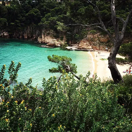Hébergement de vacances Alemanya 38 *